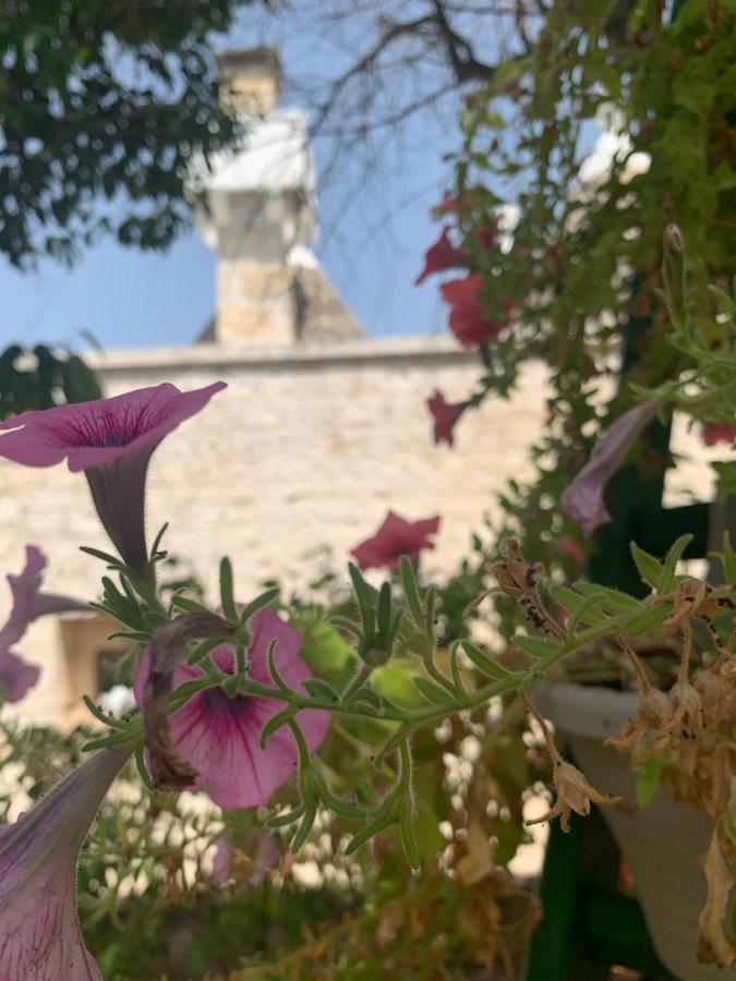 הוילה צ'יסטרנינו Trullo Sette Tindenule מראה חיצוני תמונה