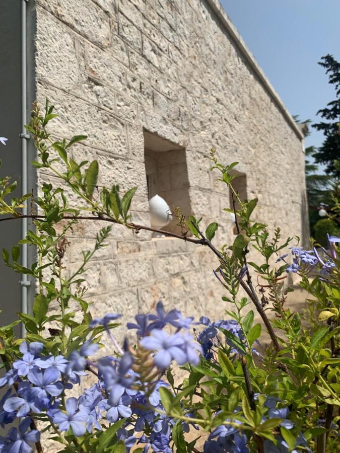 הוילה צ'יסטרנינו Trullo Sette Tindenule מראה חיצוני תמונה